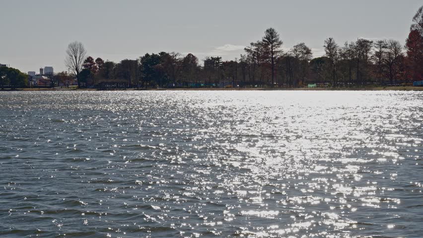 A beautiful view of bright sunlight reflecting off the ripples of a large pond in Mizumoto Park, creating a shimmering bokeh effect on the water under a clear afternoon sky.
