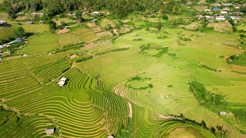 Dramatic top-down perspective of the famous Mam Xoi circular rice terraces in Mu Cang Chai, Vietnam. Features a rustic farm hut centered within golden and green harvest patterns