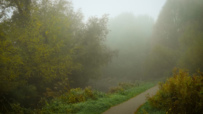 Foggy morning covering mysterious path through dense autumn forest. Drifting haze softening distant horizon awakening unknown emotions. Misty dawn veiling secret trail through thick fall woodland