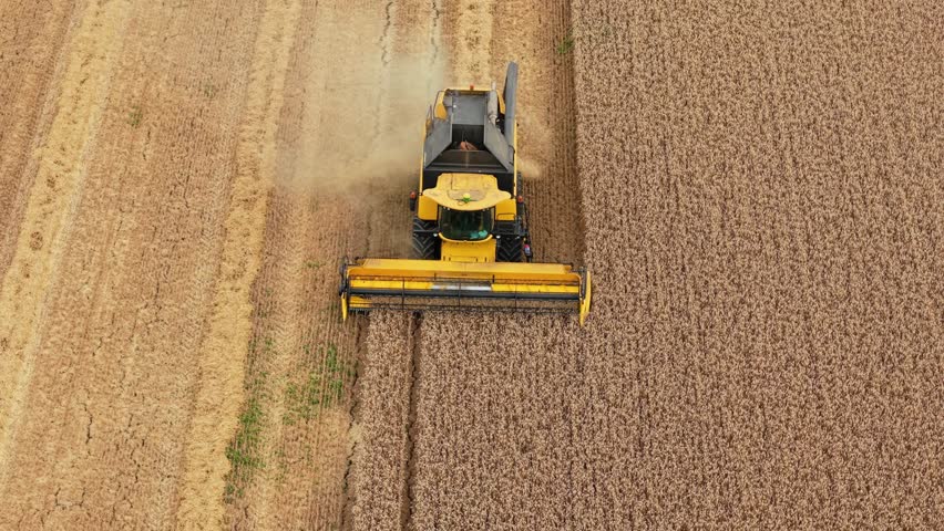 Harvester working on wheat field in farmland. Combine cutting ripe grain crop in countryside. Tractor operating during golden cereal harvest in rural area. Machinery processing barley crop in