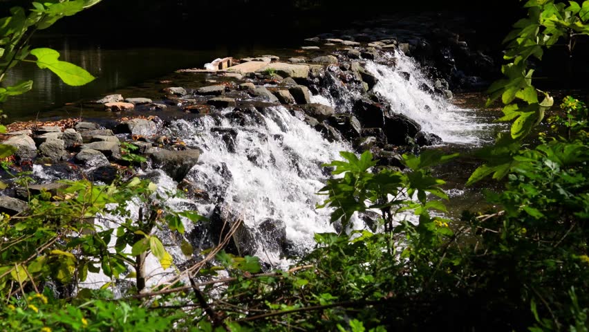 Forest stream flowing over rocks forming small waterfall in Akchour Chefchaouen Morocco surrounded by dense greenery and natural woodland landscape