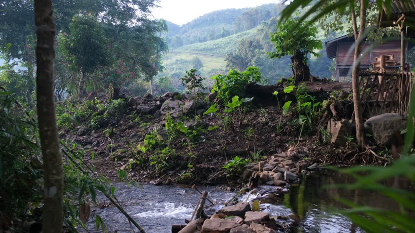 Water stream flowing down the canal in the forest