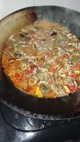 Cooking Mangrove Snail - Cerithidea obtusa