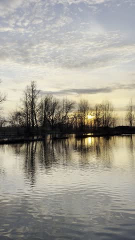 Quiet lakeside at sunrise with bare trees silhouetted, soft golden light and textured cloud sky reflected on calm water; serene winter landscape background.