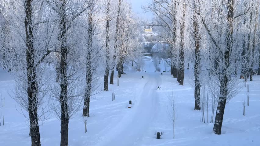 A tranquil winter scene featuring a narrow snow-covered road lined with tall trees heavily coated in white hoarfrost, leading through a silent, frozen park toward a distant village.