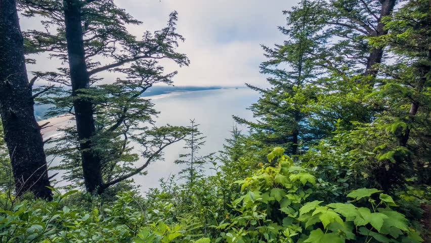 A view of the Pacific Ocean and the coastline from the Cape Lookout Trail in Cape Lookout State Park, Oregon. The trail goes through a lush coastal forest with Sitka spruce and ferns. The narrow headl
