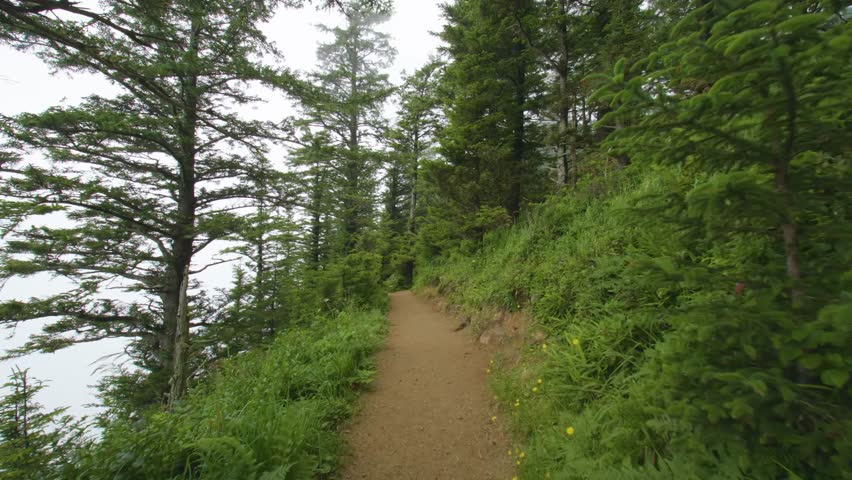 Footage of a hiker