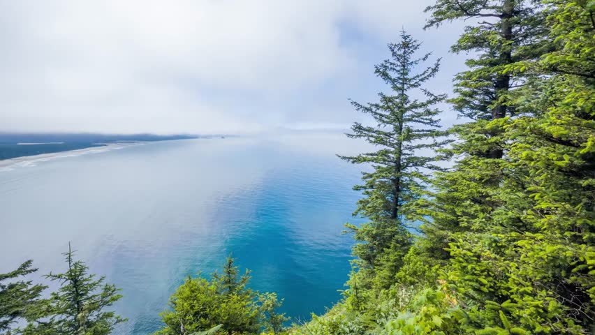 Footage captures the breathtaking view from the cliffside Cape Lookout Trail in Cape Lookout State Park, Oregon. The iconic coastal landscape features lush evergreen forests, a narrow headland jutting