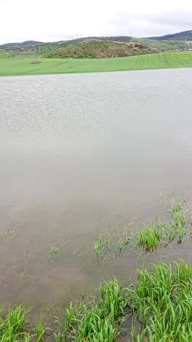 A gorgeous view of a pond surrounded by green grass