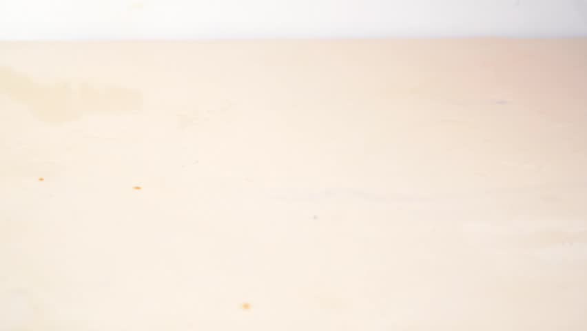 Rose petal falling down, valentines days festive background