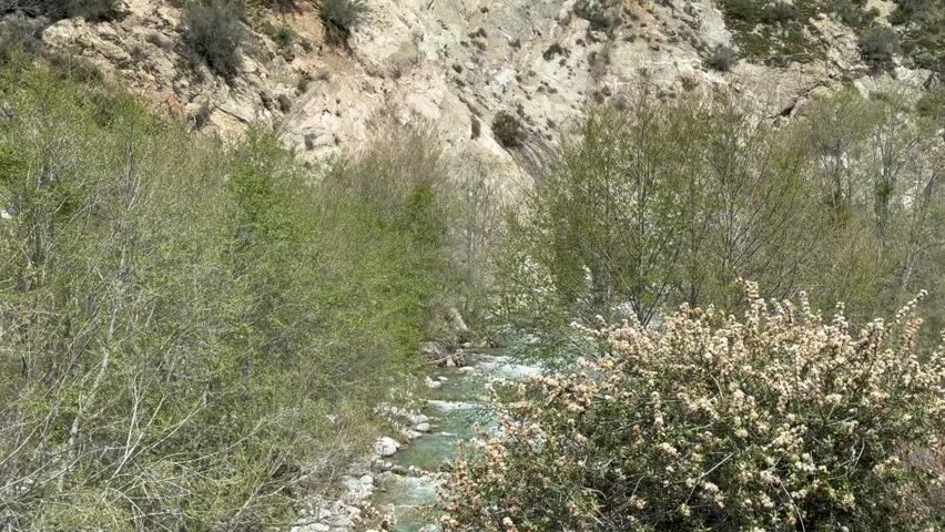 Cold River Water Racing Over the Rocks
