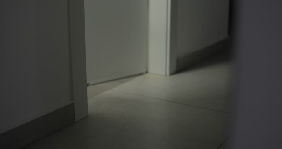 Light coming out from room in mysterious dark apartment or home at night. Corridor lit only by light from room. Suspicious and scary. Late at night or closed off house in eerie feeling place