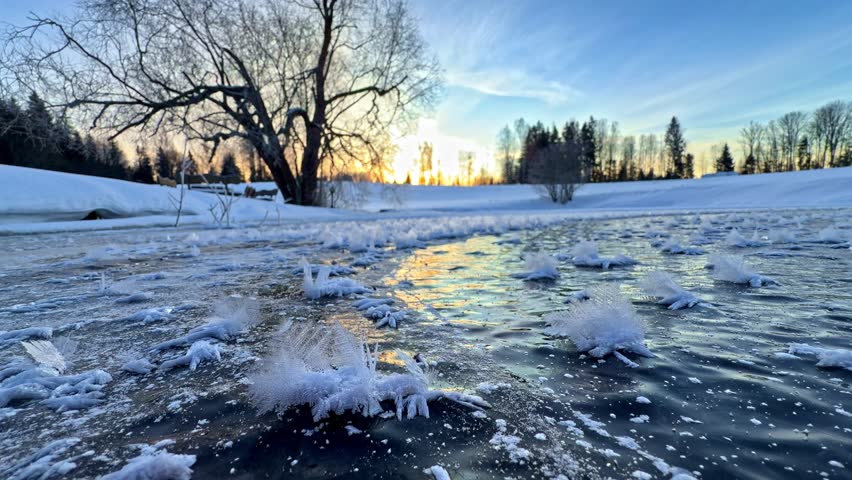 Winter Landscape Low Angle Snow Foreground with Forest Trees and Sunrise Sky