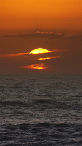 Seagulls scream and fly over the sea against the backdrop of the setting sun. Vertical video
