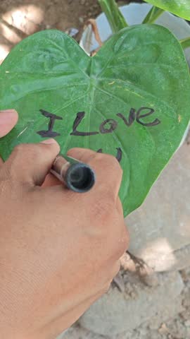 Writing “I Love You” on Heart-Shaped Paper by Hand