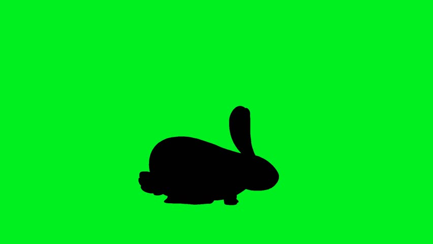 Cute animated bunny silhouette hopping in seamless loop on green background, cartoon animal concept ideal for easter celebration, spring season, kids animation and creative video element.