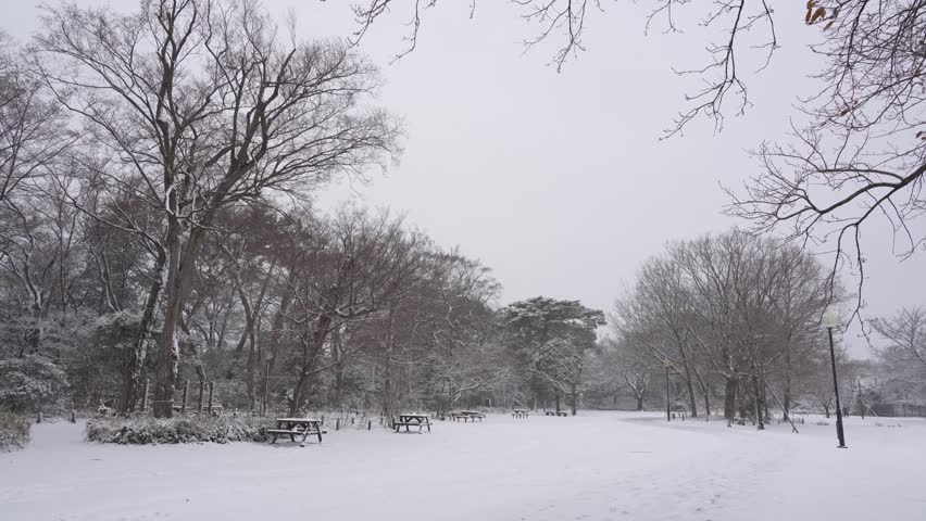 Snow Falling Over a Peaceful Park in Tokyo City
