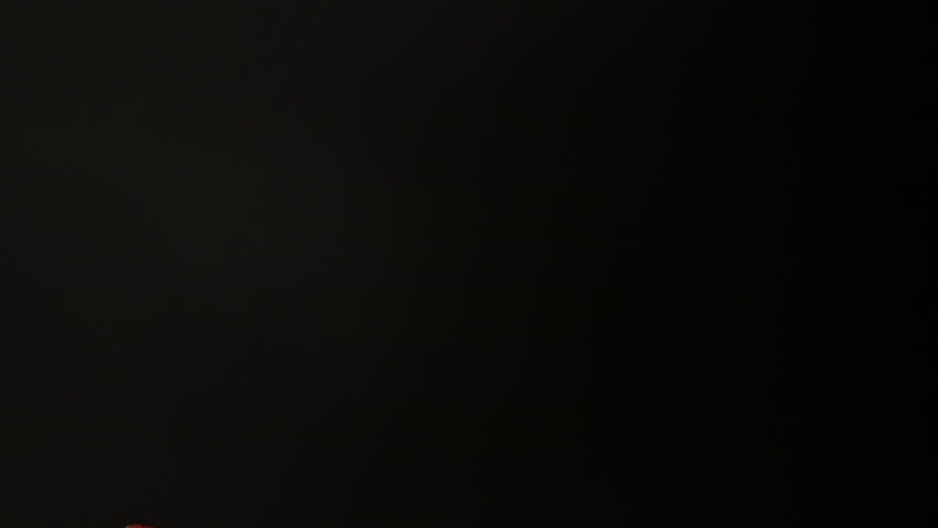 Super Slow Motion of Flying Red Rose Petals Isolated on Black Background at 1000fps.