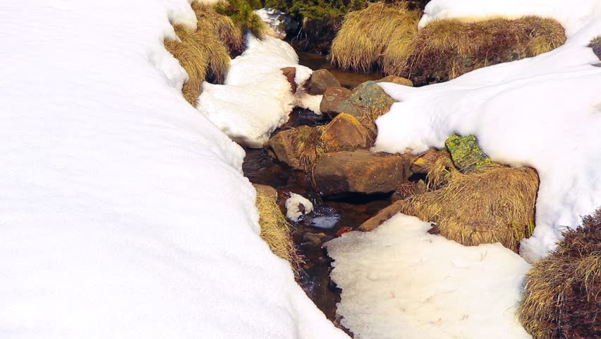 Stream in Font Romeu at the end of winter, flowing through the fields.
20-second fixed-shot video. Water running through the Pyrenees in winter.
