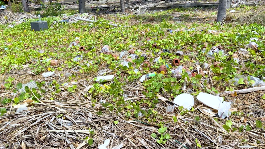 A slow panning shot reveals plastic bottles and styrofoam debris polluting coastal tropical greenery