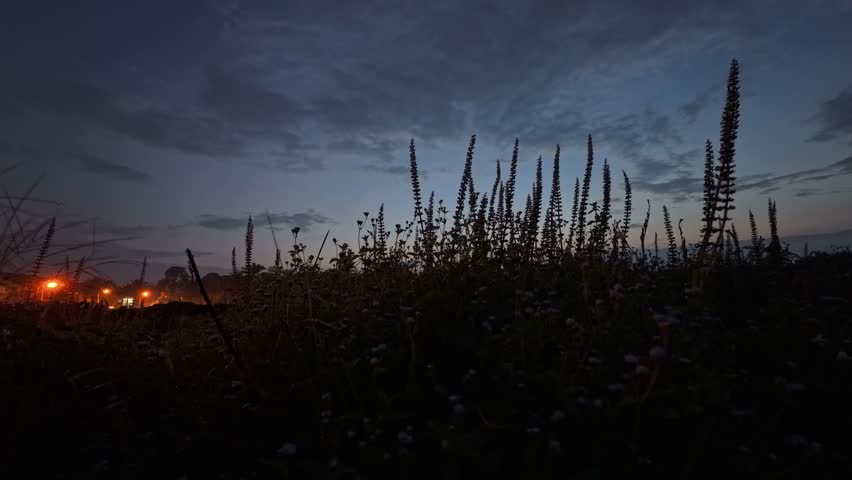 Time lapse footage of the colorful moving sky at the meadow farm.