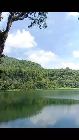 Calm Forest Lake with Clear Green Water Reflection