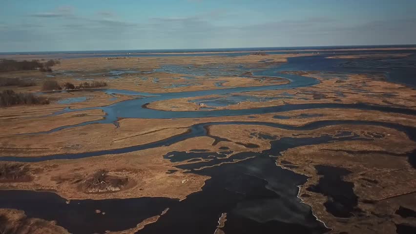 Wide drone aerial of Essex Bay and the Great Marsh, Massachusetts, with meandering tidal channels cutting through golden salt marsh toward the Atlantic Ocean, clear daylight