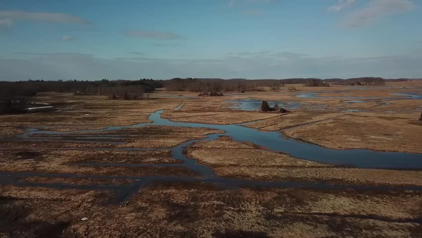 Aerial view of tidal creeks branching through the Great Marsh near Essex Bay, Massachusetts, golden winter marsh grass and calm blue water under soft clouds, daylight.