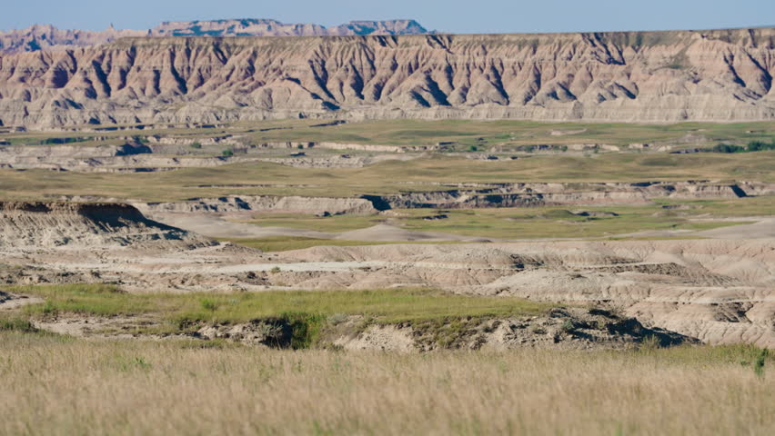 An antelope runs across grassy Badlands National Park landscape, dust lifting from the plains as rugged formations and open prairie highlight wild freedom and natural movement wildlife beauty