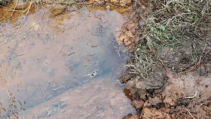 Close-up of natural water seeping from beneath the soil surface, forming a small muddy pool with gentle ripples, showing groundwater emergence in a rural environment.