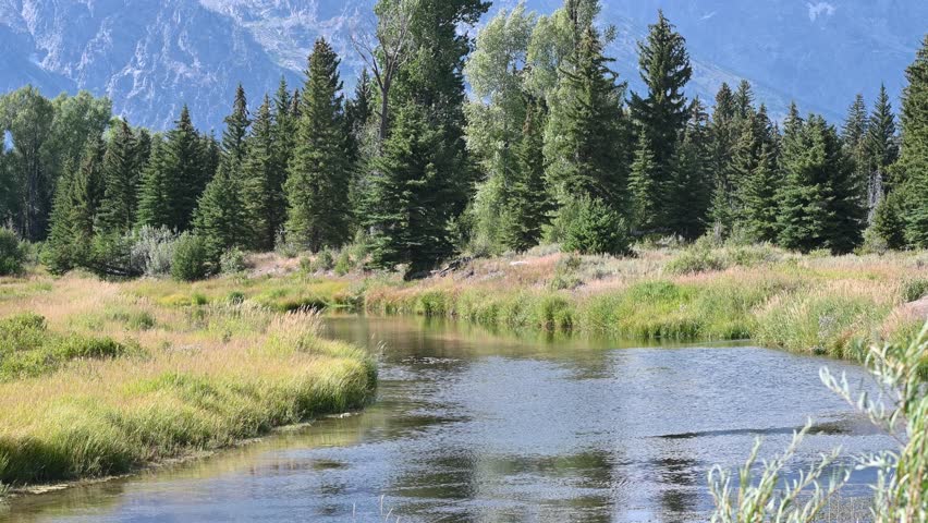 An aerial view of a tranquil pond reflecting surrounding evergreen trees and distant mountains with grassy banks and a serene atmosphere.