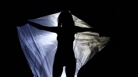 Woman Into Veil Silhouette - Slow Motion 