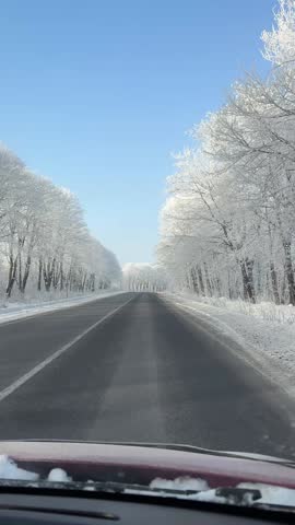 Video of road and snow-covered trees