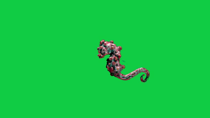 	
seahorse Beautiful coral reefs and tropical fish aquarium colorful sea salt water fantasy avatar alien fish deep sea fish green blue black screen	
