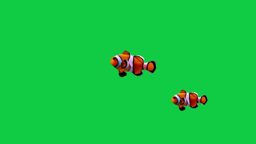 	
Clownfish Beautiful coral reefs and tropical fish aquarium colorful sea salt water fantasy avatar alien fish deep sea fish green blue black screen	
