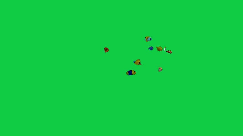 angelfish Beautiful coral reefs and tropical fish aquarium colorful sea salt water fantasy avatar alien fish deep sea fish green blue black screen	
