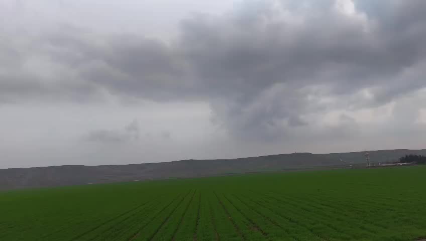Wide panoramic view of a green agricultural field with perfectly aligned crop rows under a dramatic cloudiness and overcast sky. Rural countryside landscape with fresh vegetation and moody weather atmosphere.