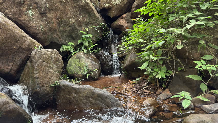 Water flows over rocks in a forest. Nature, serenity, lush greens. Ideal for backgrounds