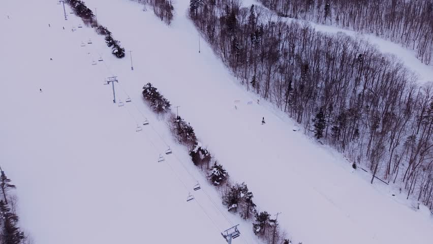 Skiers enjoying active winter sport on alpine resort slope surrounded by snow and trees.