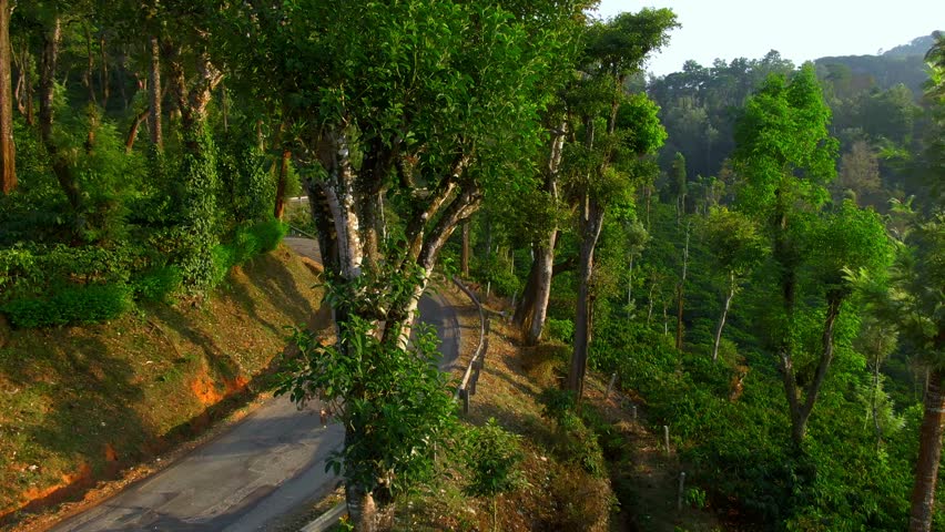 aerial view of curve road on mountain