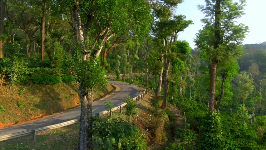 aerial view of curve road on mountain