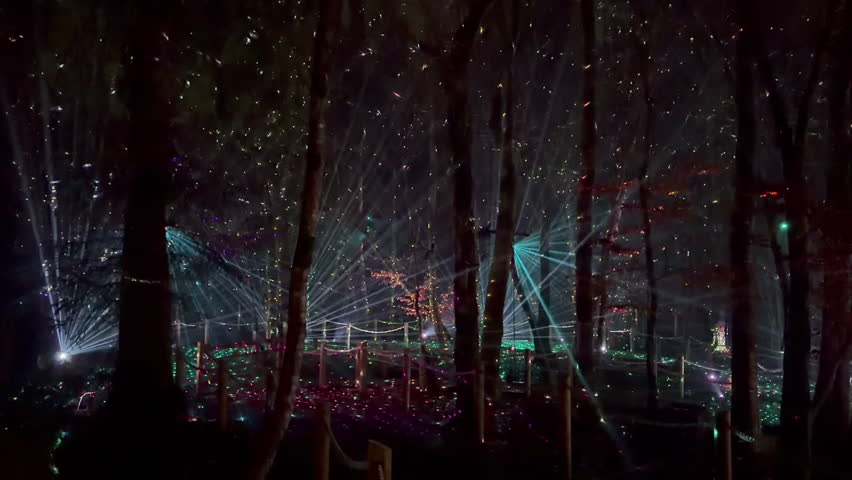 Colourful night laser light presentation in forest of Longford Parc