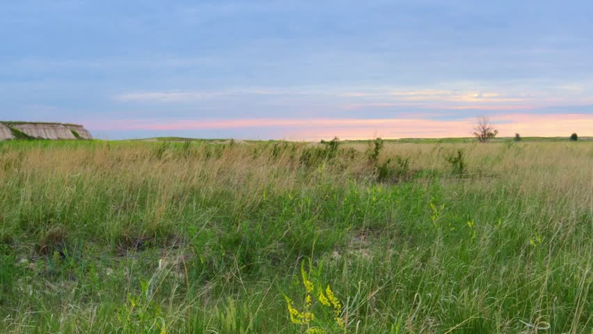 The open Prairies in the Badlands National Park. Endless fields of grass under an expansive sky near sunset.