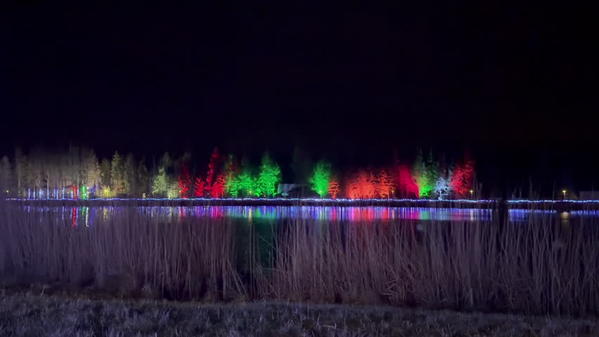 Night light show in Longford Forest Parc, trees illuminated in colour