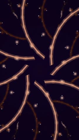 Vibrant fireworks display against dark background