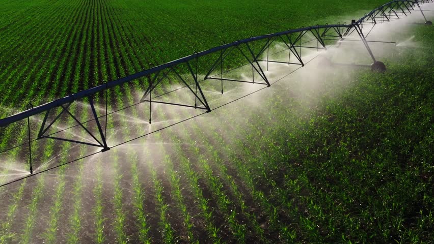 Aerial perspective captures irrigation system watering vibrant crops, emphasizing agricultural practices and the lush greenery of the field, camera gradually zooms out