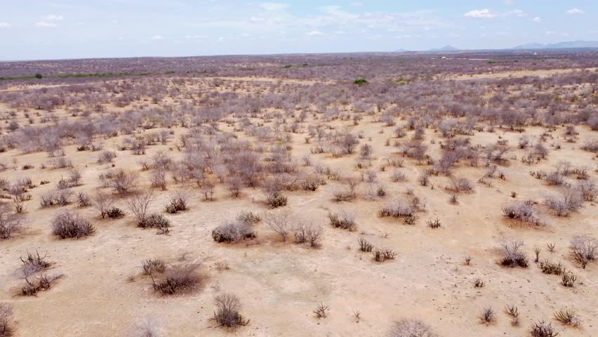 Drone footage of the Caatinga region in Petrolina, Pernambuco, Brazil.
