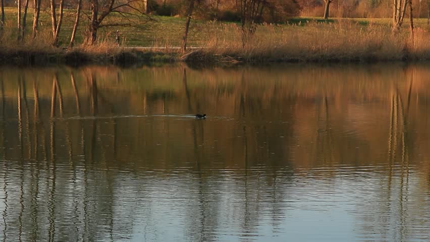 Person Jogging on a Scenic Spring Forest Path Near Regensburg