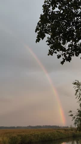 vertical video. Colorful rainbow arching over rural landscape with soft evening light. Calm atmosphere after rainfall. Rainbow stretching across cloudy sky above fields and trees.