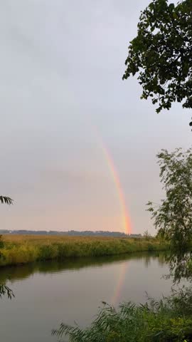 vertical video. Bright rainbow stretching across cloudy sky above green field. Peaceful countryside view after light rain. Vivid rainbow glowing over open landscape with trees. Natural phenomenon.